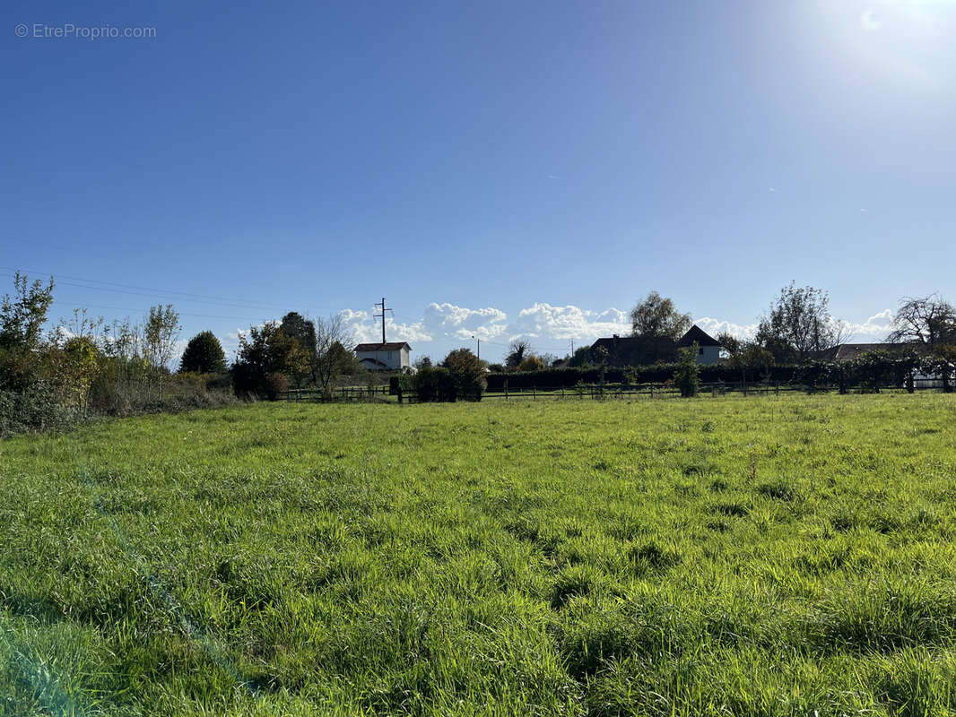 Terrain à BORDERES-SUR-L'ECHEZ