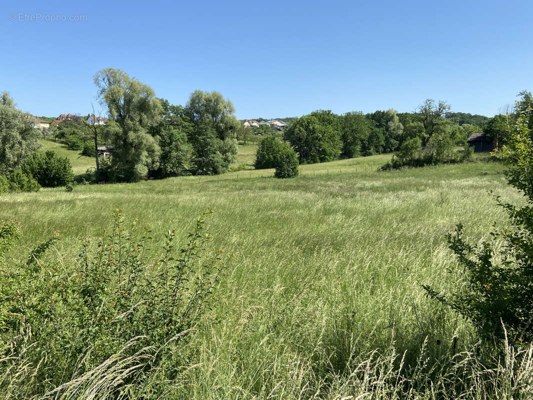 Terrain à REMELFING