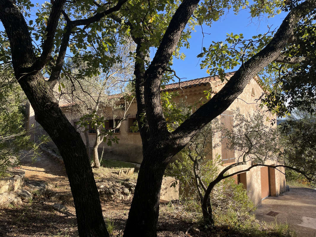 Maison à MONTFORT-SUR-ARGENS