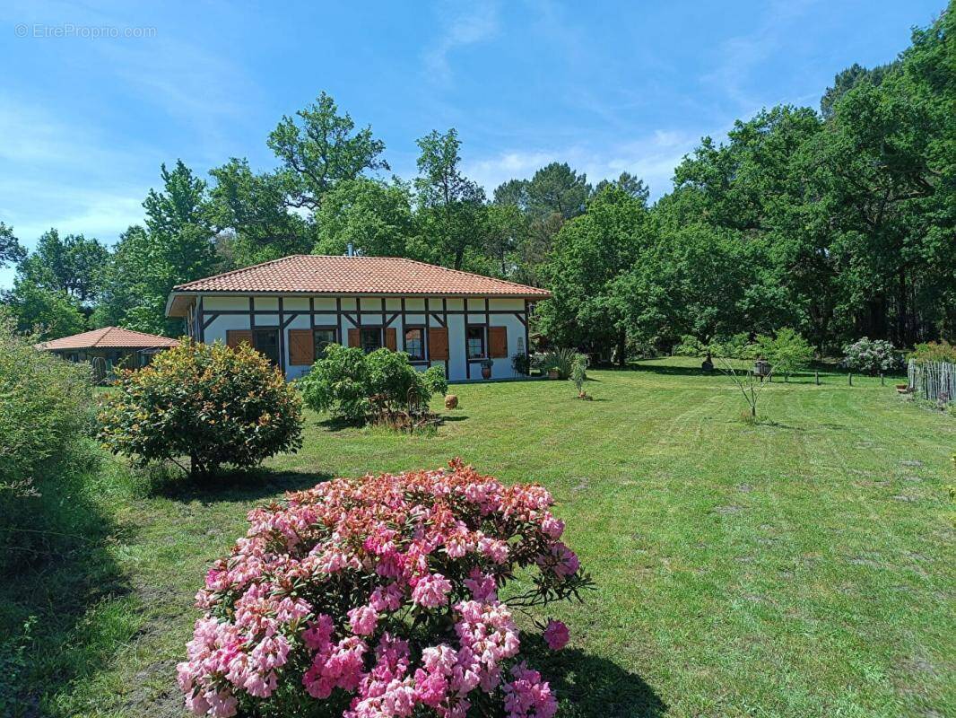 Maison à CASTETS