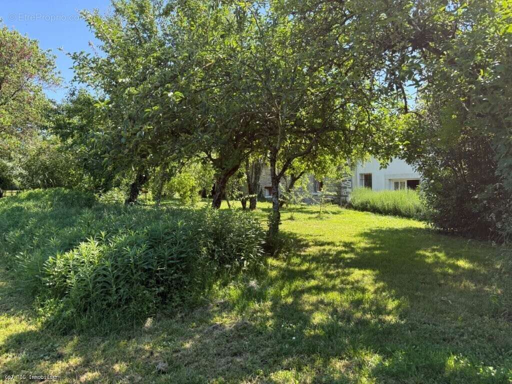 Maison à RUFFEC
