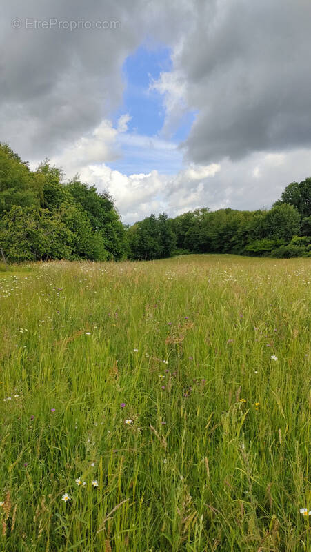 Terrain à JUILLAC