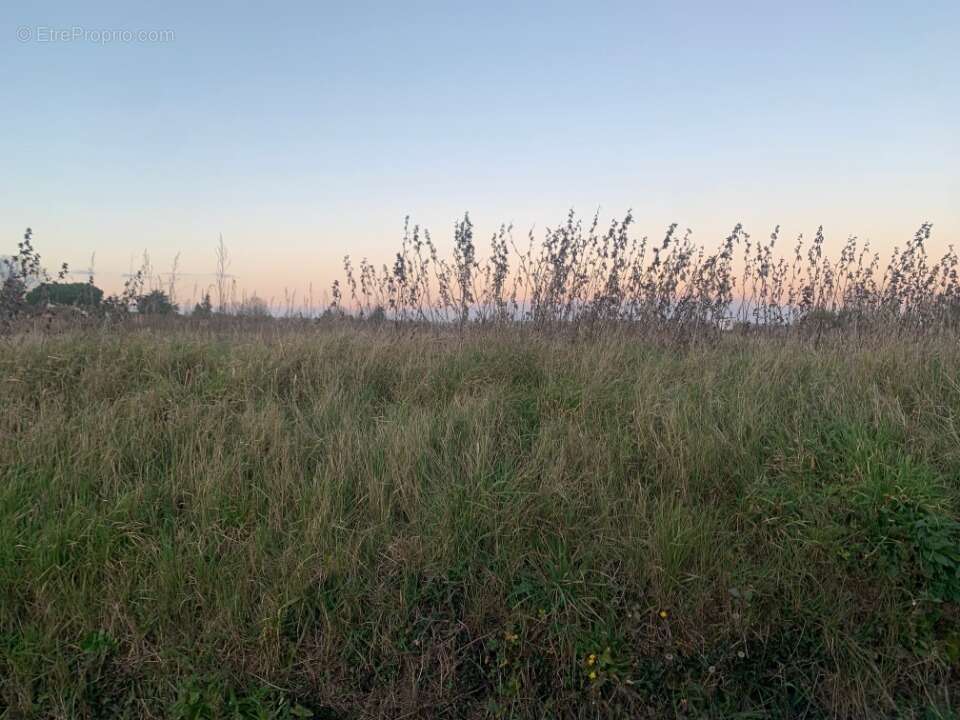 Terrain à LA SAUVETAT-DU-DROPT