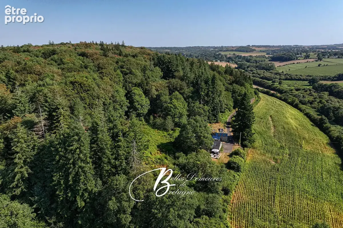 A vendre jolie propriété en pierre au coeur d'un espace naturel de près de 3 hectares - photo 3