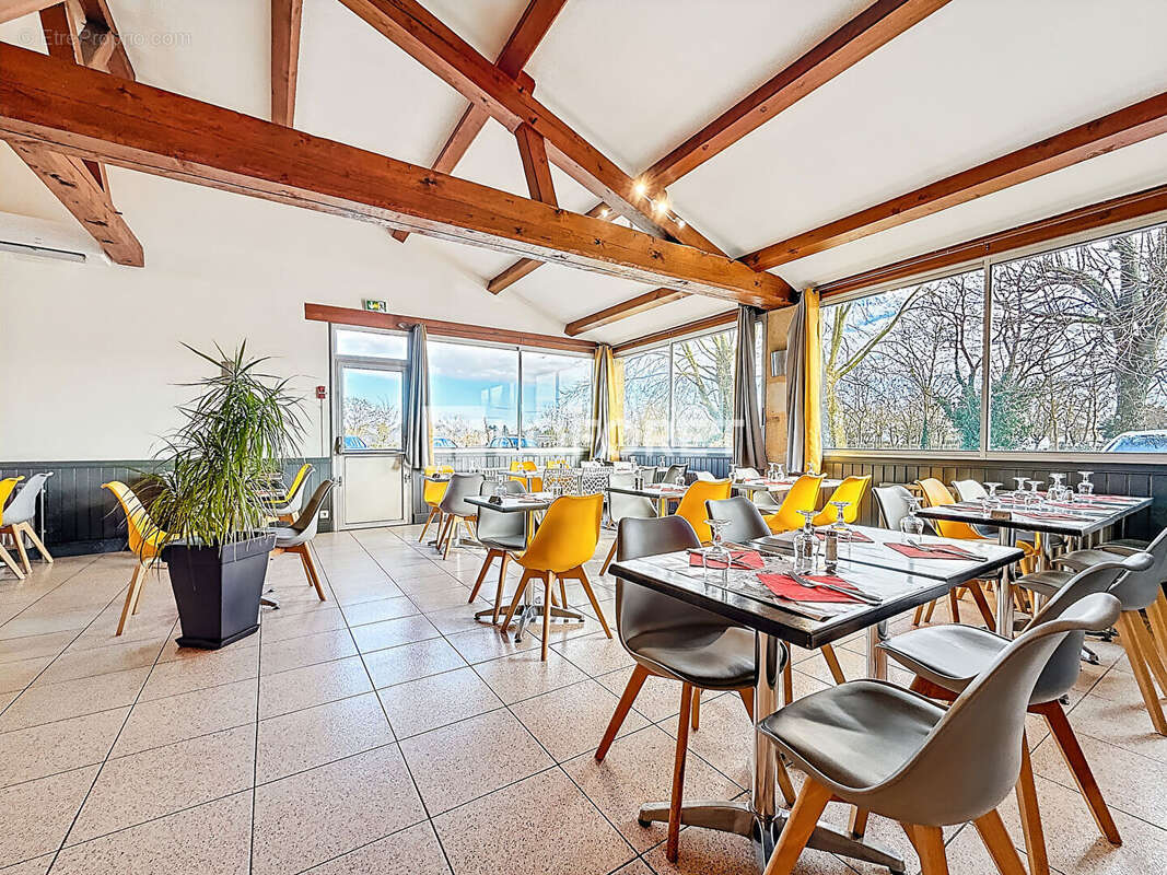 Commerce à DOUE-LA-FONTAINE