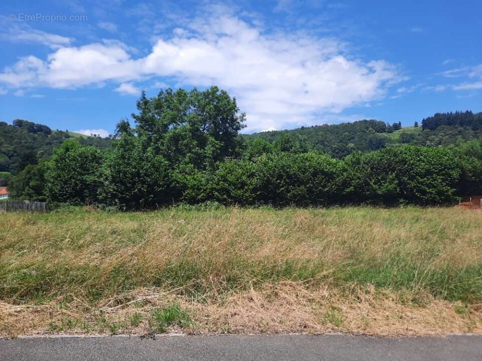 Terrain à SAINT-SIMON