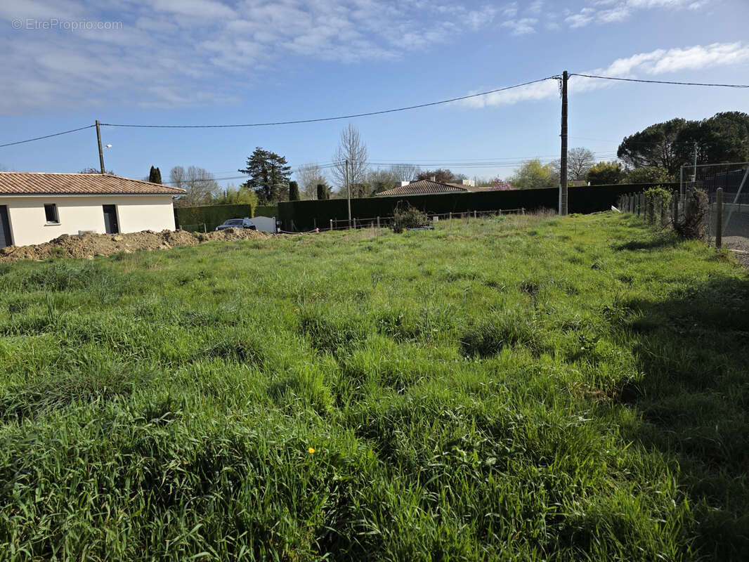 Terrain à LATRESNE
