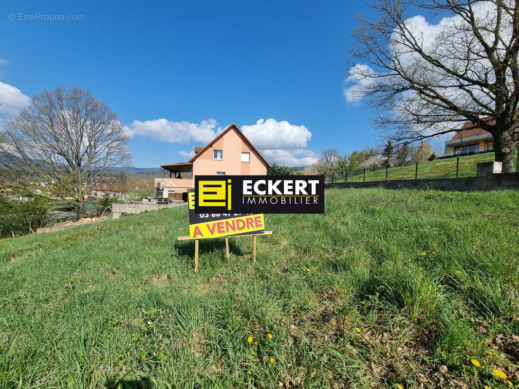 Terrain à NIEDERHASLACH