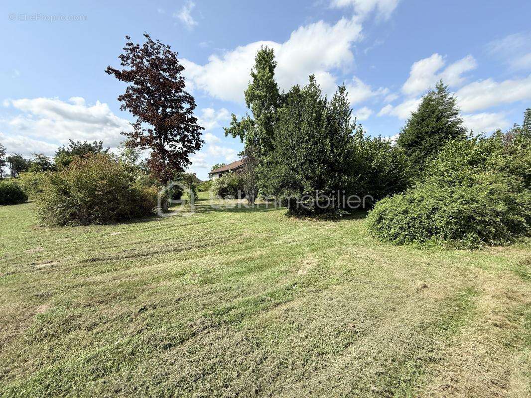 Maison à LAMARCHE-SUR-SAONE