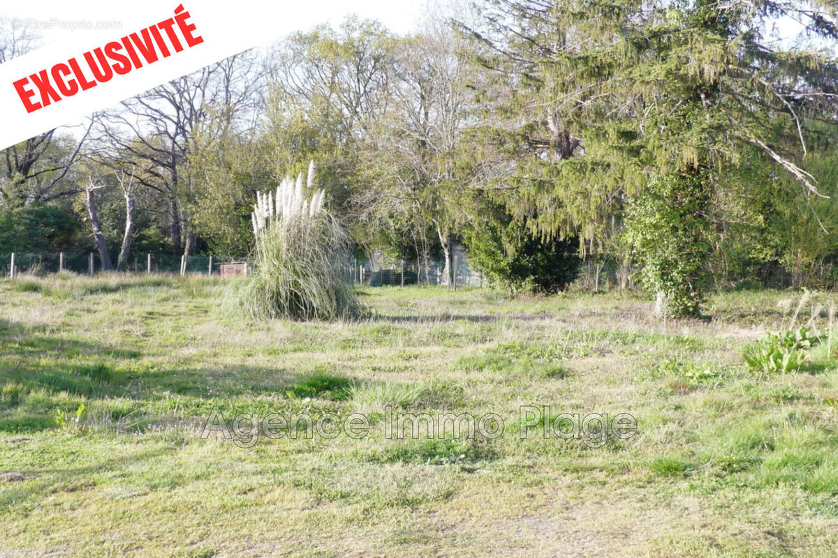 Terrain à SAINT-VIVIEN-DE-MEDOC