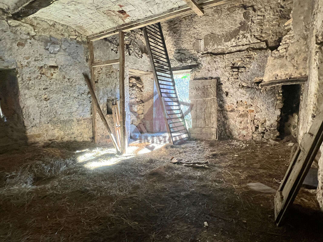 Maison à SAINT-FLORENT-SUR-AUZONNET