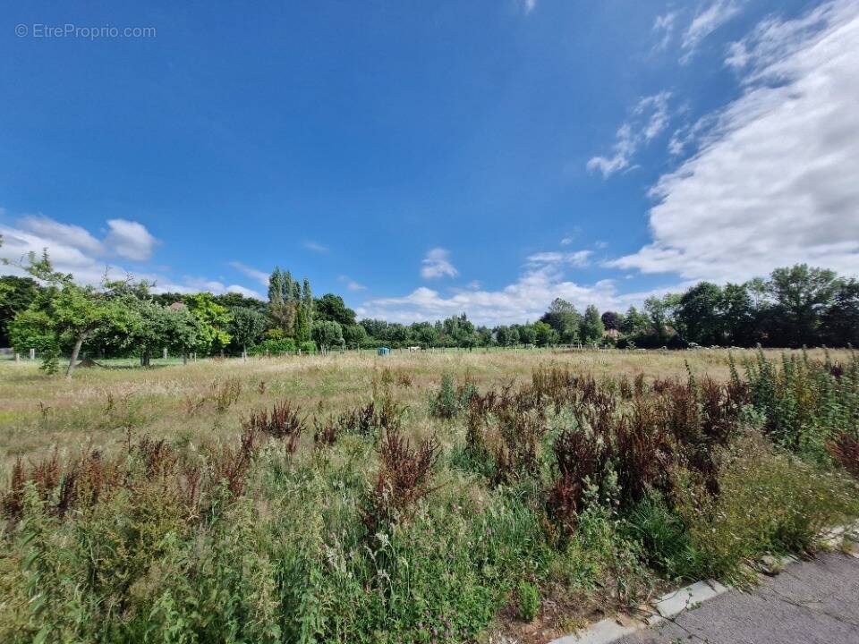 Terrain à SAINT-MARTIN-AUX-CHARTRAINS