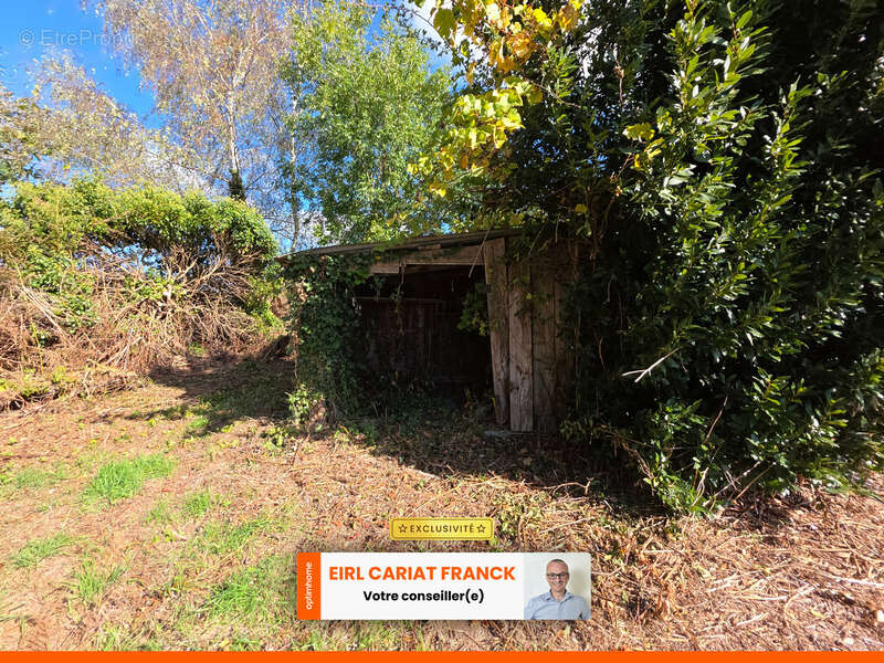 Terrain à CHAMBORAND