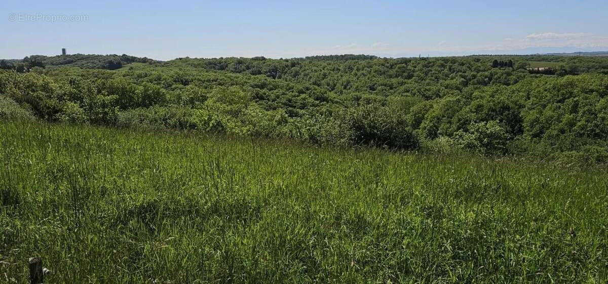 Terrain à ORDAN-LARROQUE