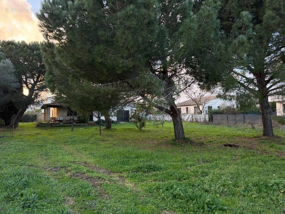 Terrain à AIMARGUES