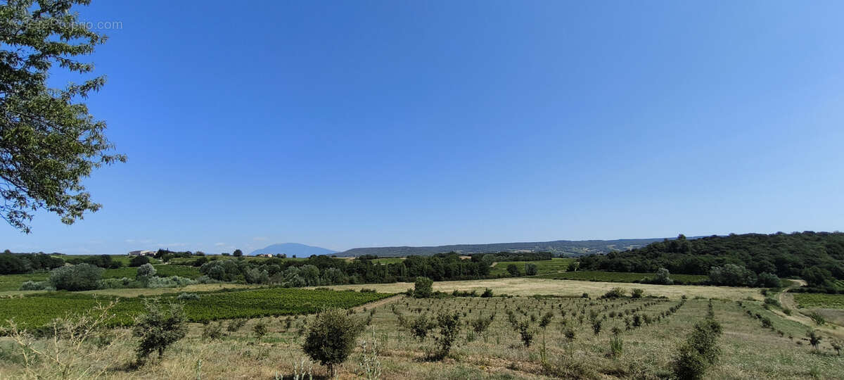 Maison et domaine viticole sur 57 hectares - vignes en aop - photo 3