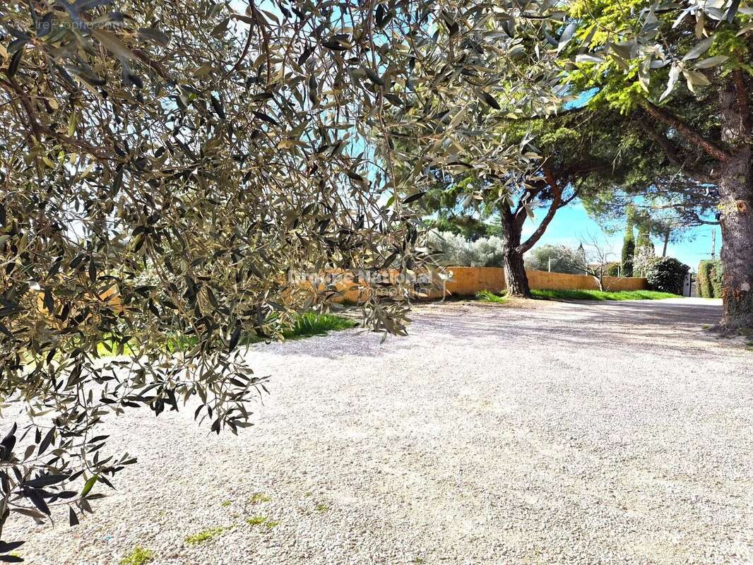 Maison à ENTRAIGUES-SUR-LA-SORGUE