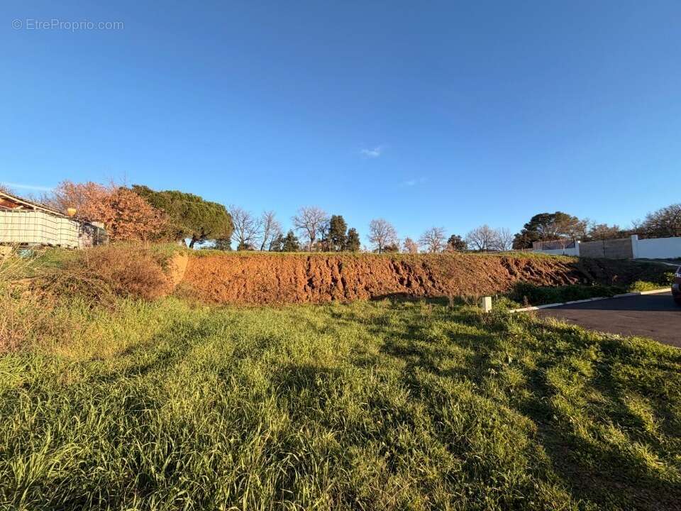 Terrain 363 m² à Pierrefeu-Du-Var  - photo 4