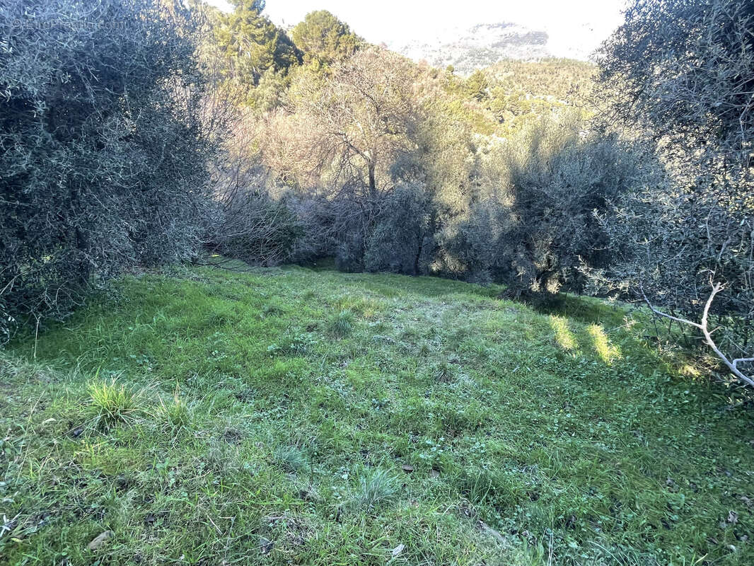 Terrain à BERRE-LES-ALPES