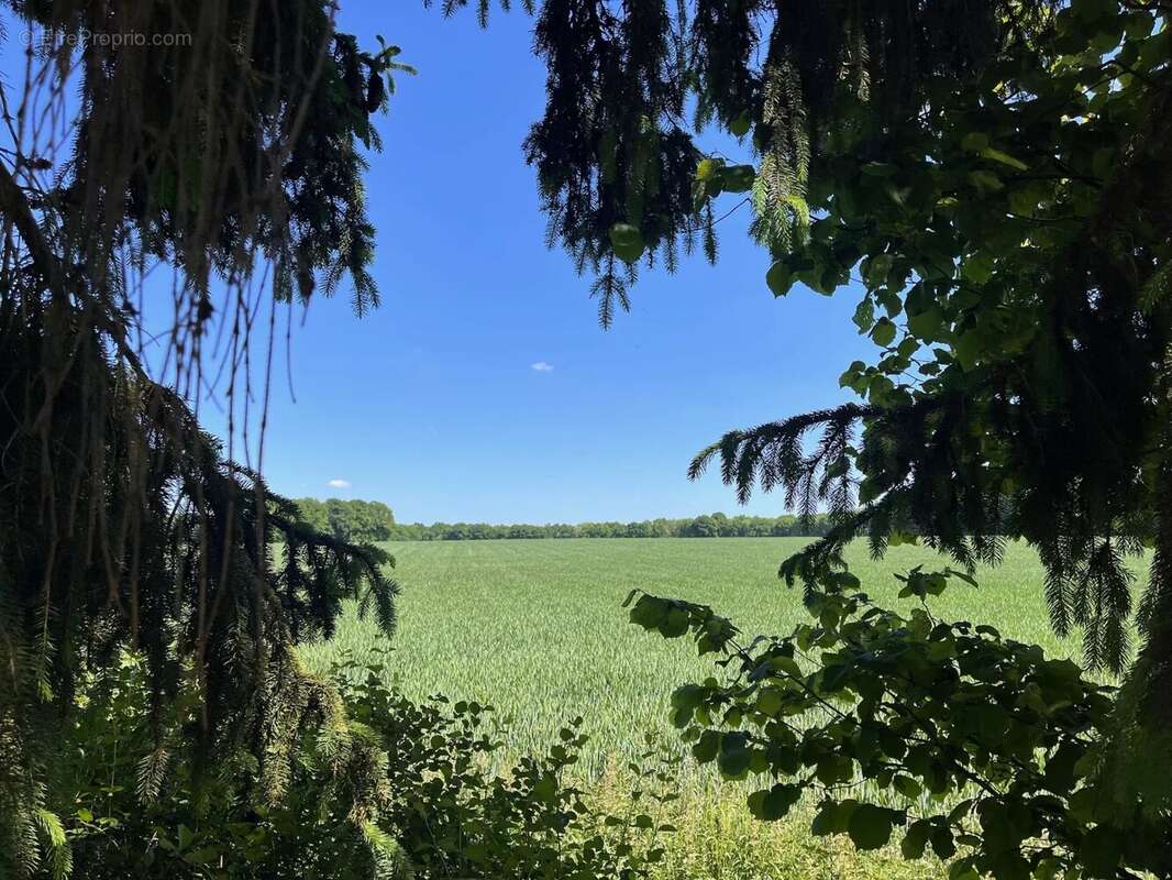 Maison à RAMBOUILLET
