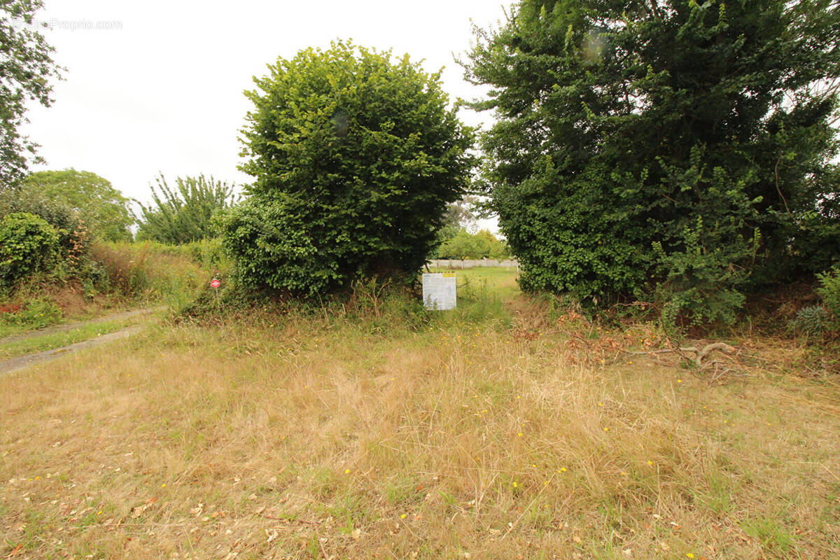 Terrain à SAINT-QUAY-PORTRIEUX
