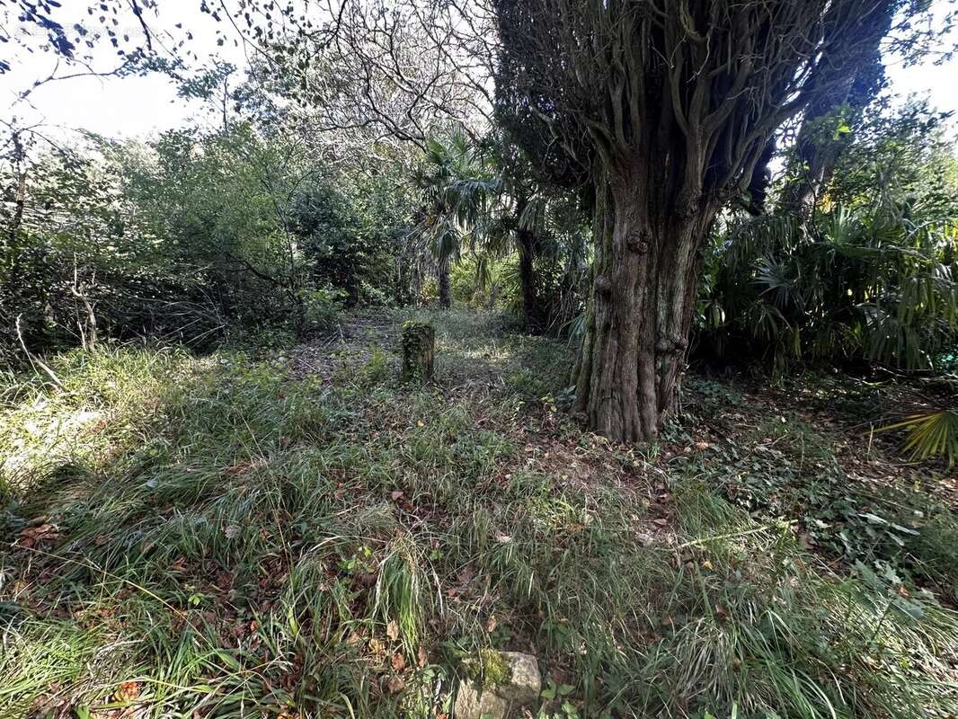 Appartement à ANDUZE