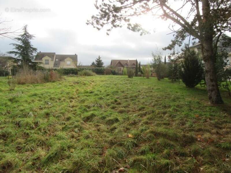 Terrain à vendre de 975,00 m² POURNOY LA GRASSE (57) - photo 3