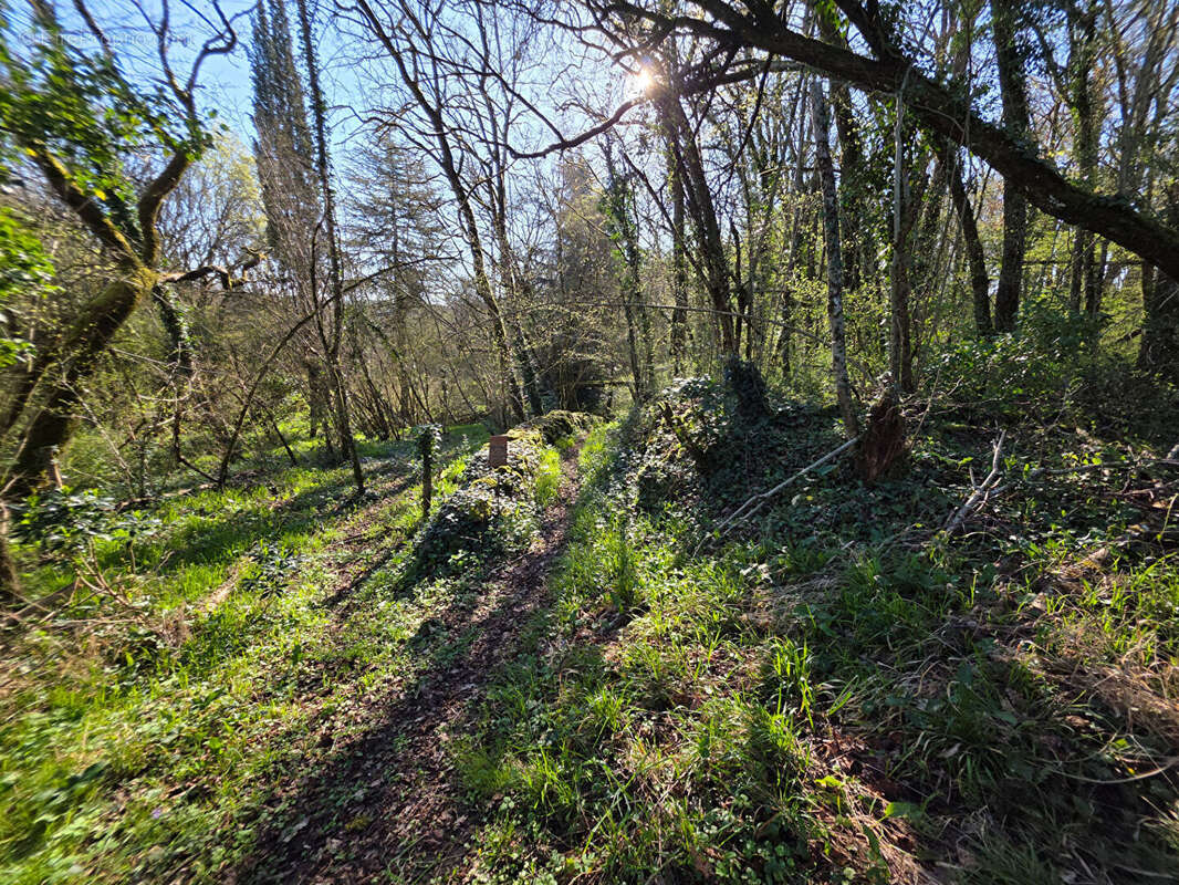 Terrain à ANGLES-SUR-L'ANGLIN