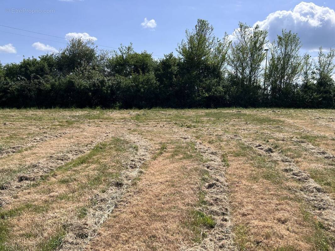 Terrain à SAINT-GERMAIN-DE-MONTBRON