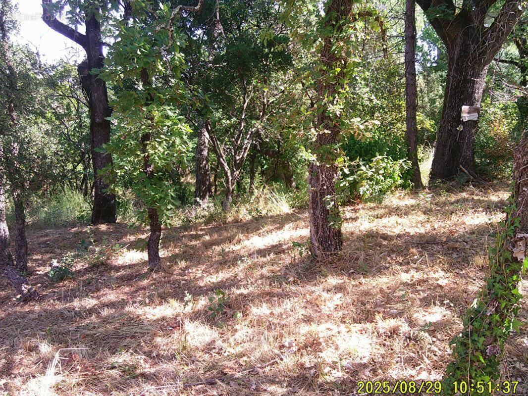 Terrain à LES MAYONS