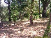 Terrain à LES MAYONS