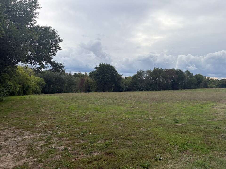 Terrain à MONTASTRUC-LA-CONSEILLERE