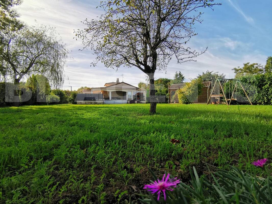 FACADE ARRIERE - Maison à SAINTE-TERRE