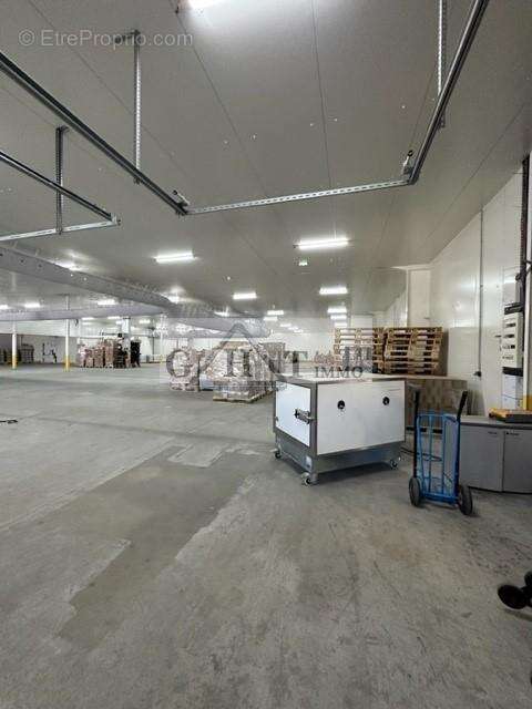 Entrepot bureaux 1600m² moussy le neuf - photo 2