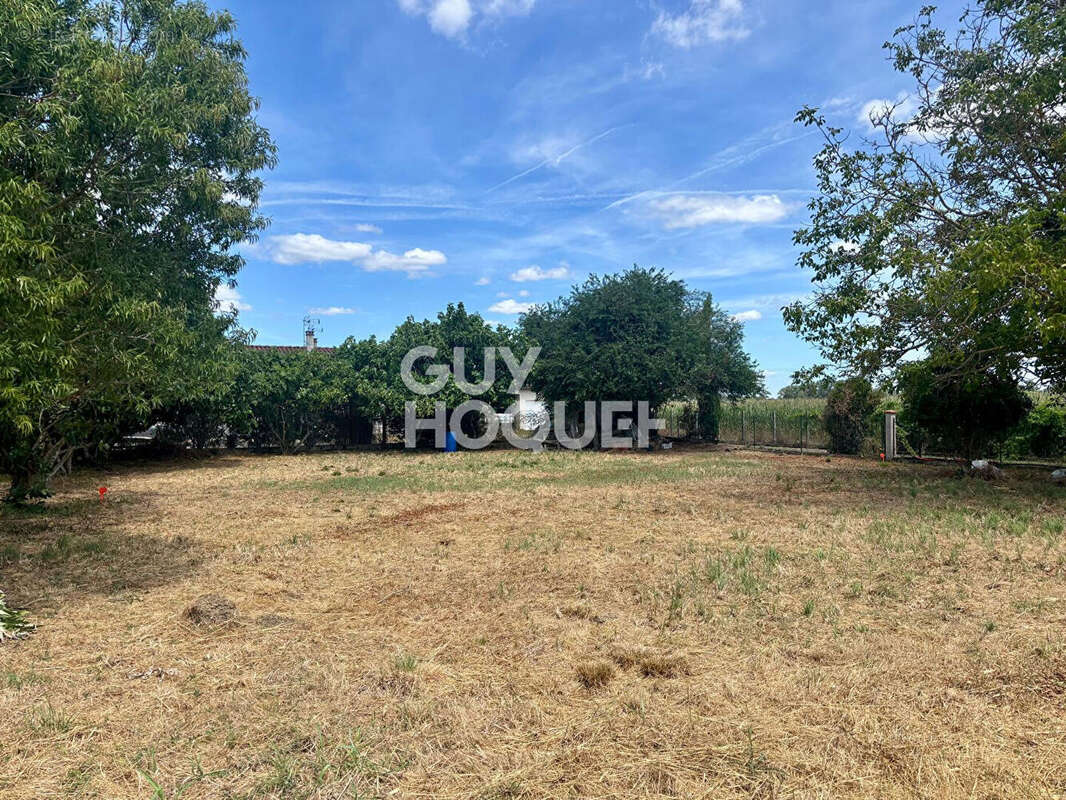 Terrain à vendre Grenade - 485 m² - Réf 3919 - photo 3