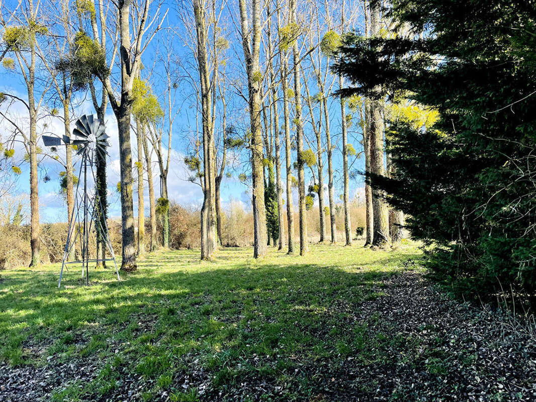 Terrain de loisir avec étang - 7 650 m² de nature - photo 5