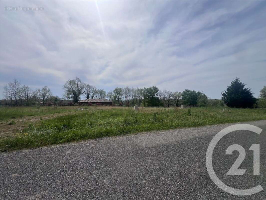 Terrain à MONCLAR-DE-QUERCY