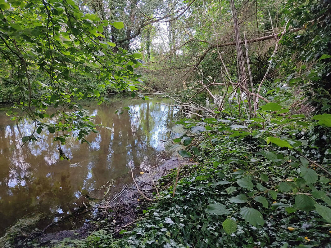 Terrain à DANNEMOIS