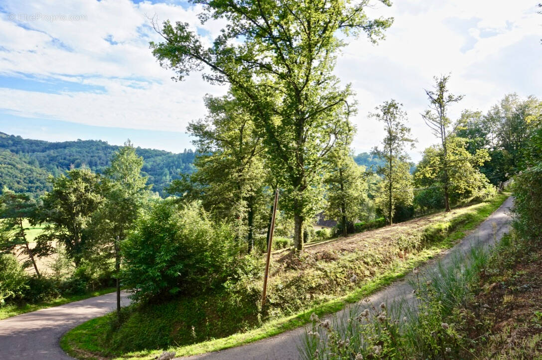 Terrain à SAINT-HILAIRE-PEYROUX