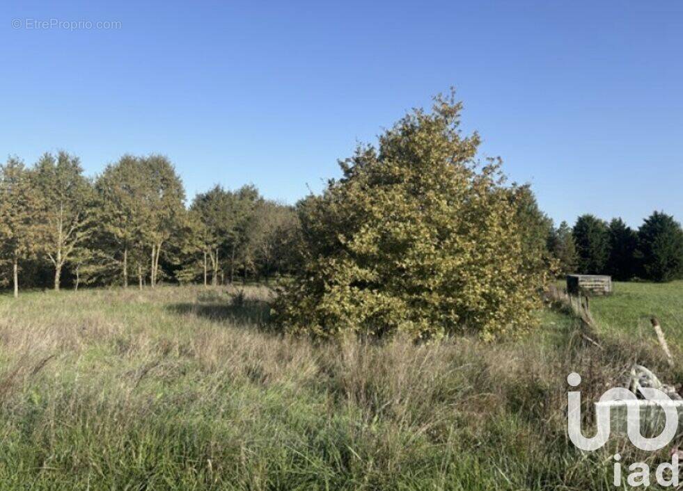 Photo 1 - Terrain à MEAUZAC