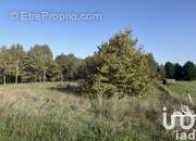 Photo 1 - Terrain à MEAUZAC