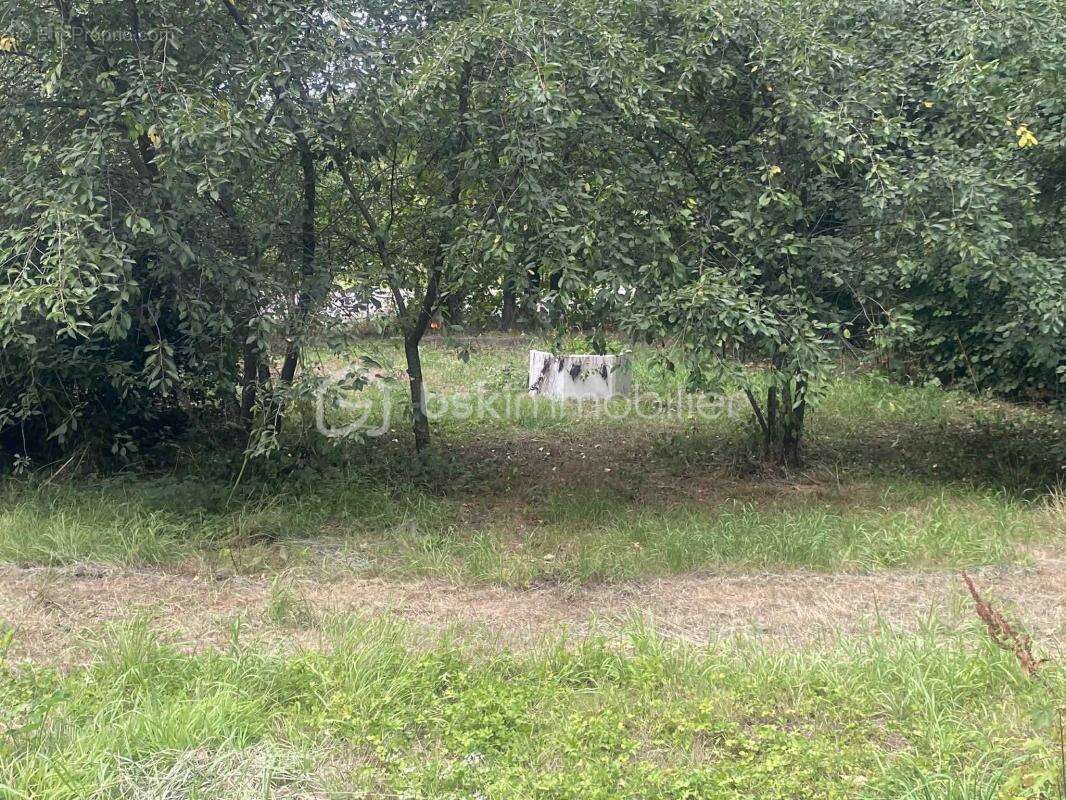 Maison à SAINTE-GAUBURGE-SAINTE-COLOMBE