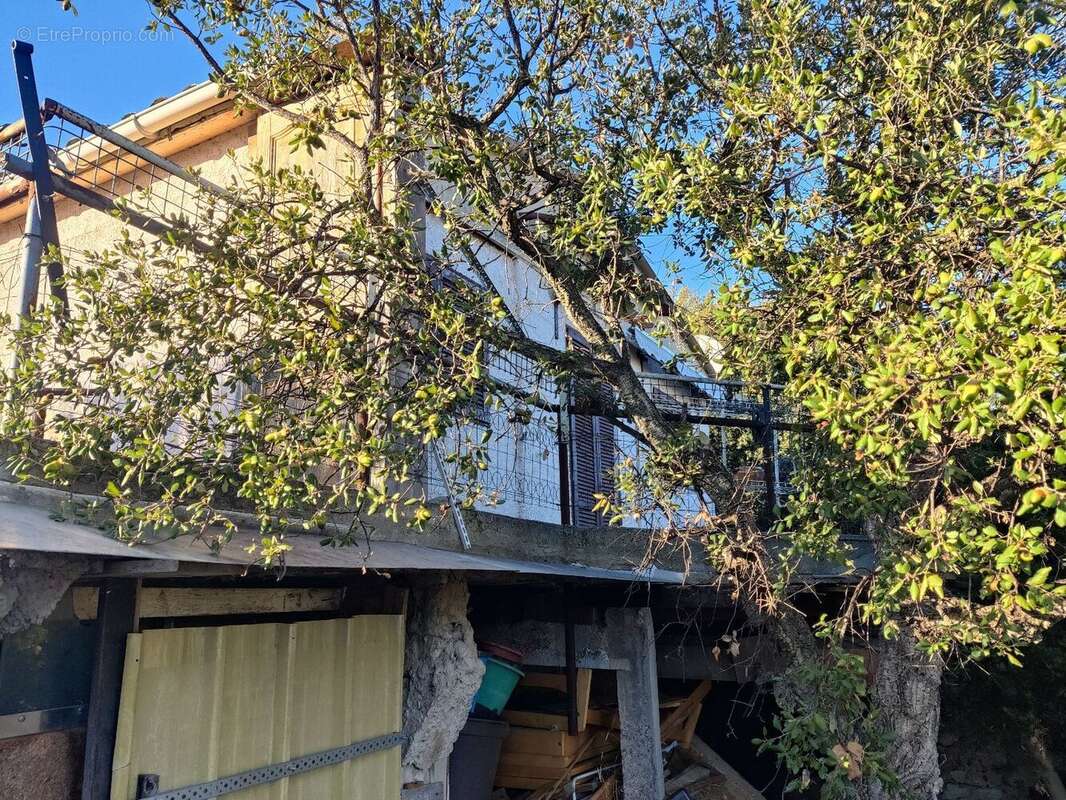 Maison à ROQUEBRUNE-SUR-ARGENS