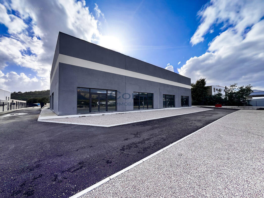 Commerce à SARROLA-CARCOPINO