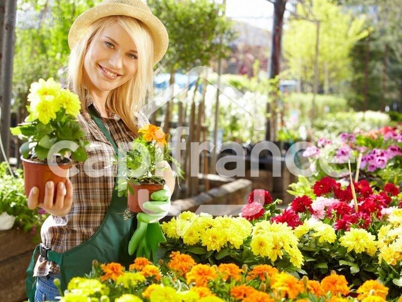 Commerce à SAINT-LEGER-SUR-DHEUNE