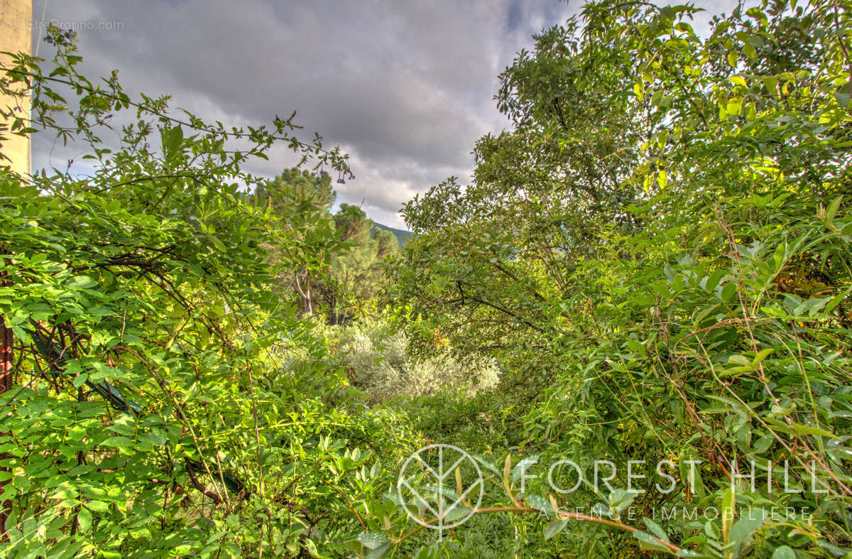 Maison à AMELIE-LES-BAINS-PALALDA