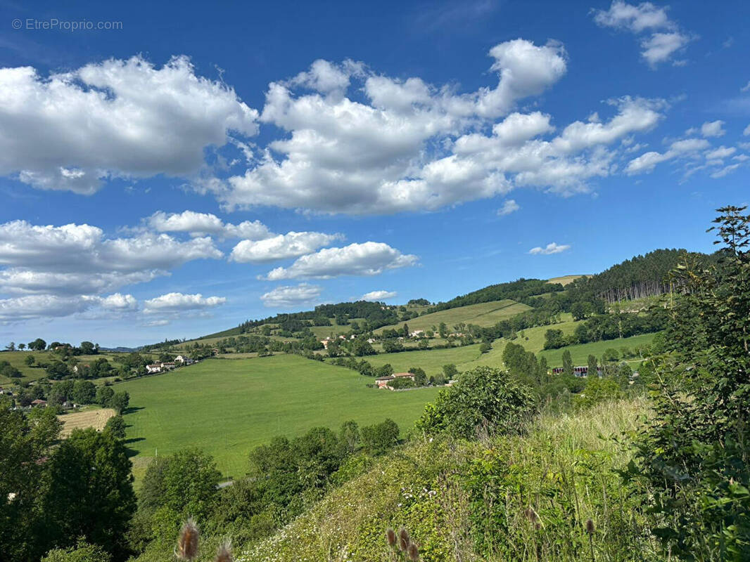Terrain à THIZY