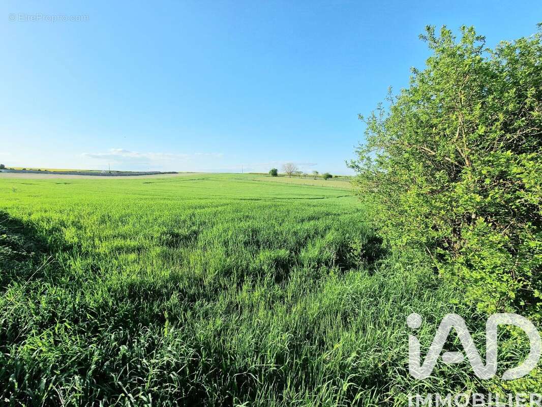 Maison 140 m² à Chamvres  - photo 4