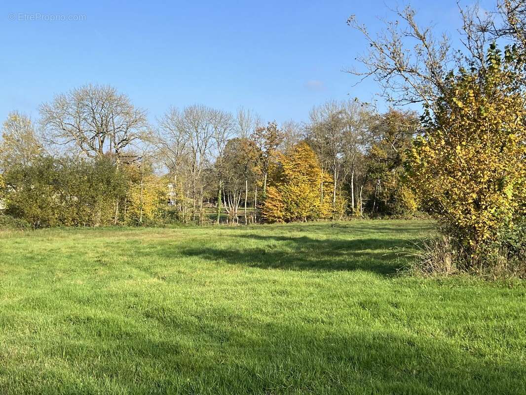 vue sur terrain arrière maison - Maison à LA FERRIERE-AUX-ETANGS