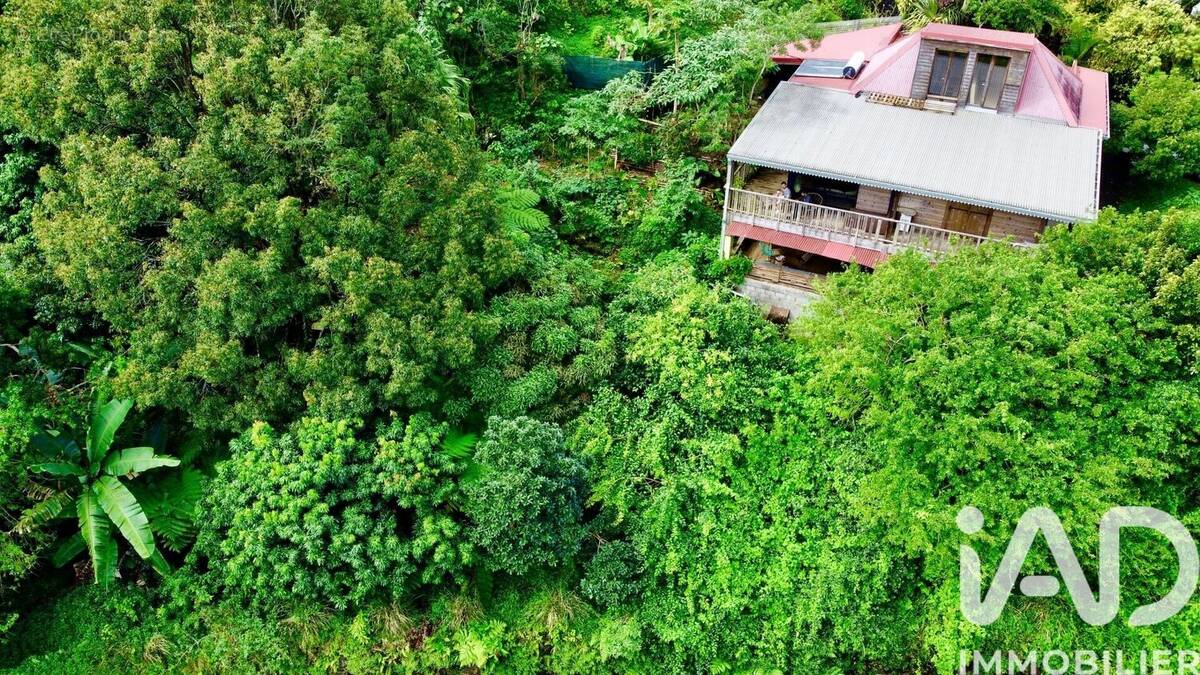 Photo 1 - Maison à SAINT-JOSEPH